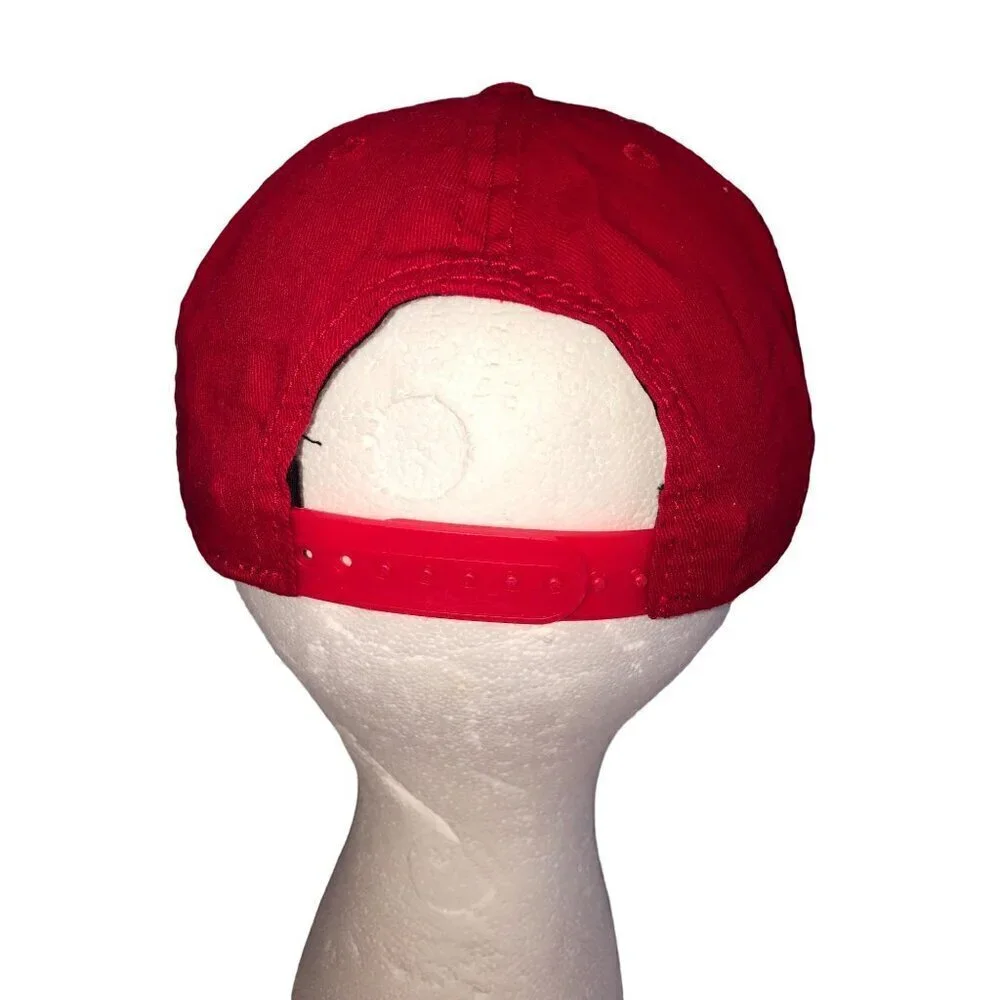 Flash Snapback Hat Youth Size Adjustable Red Flat Front Graphic DC Comic Unisex